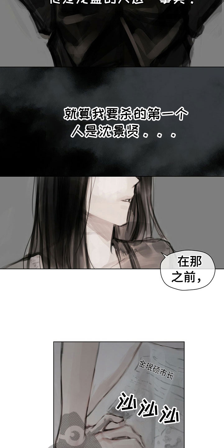 《暗道杀心》漫画最新章节第17章：资料免费下拉式在线观看章节第【15】张图片