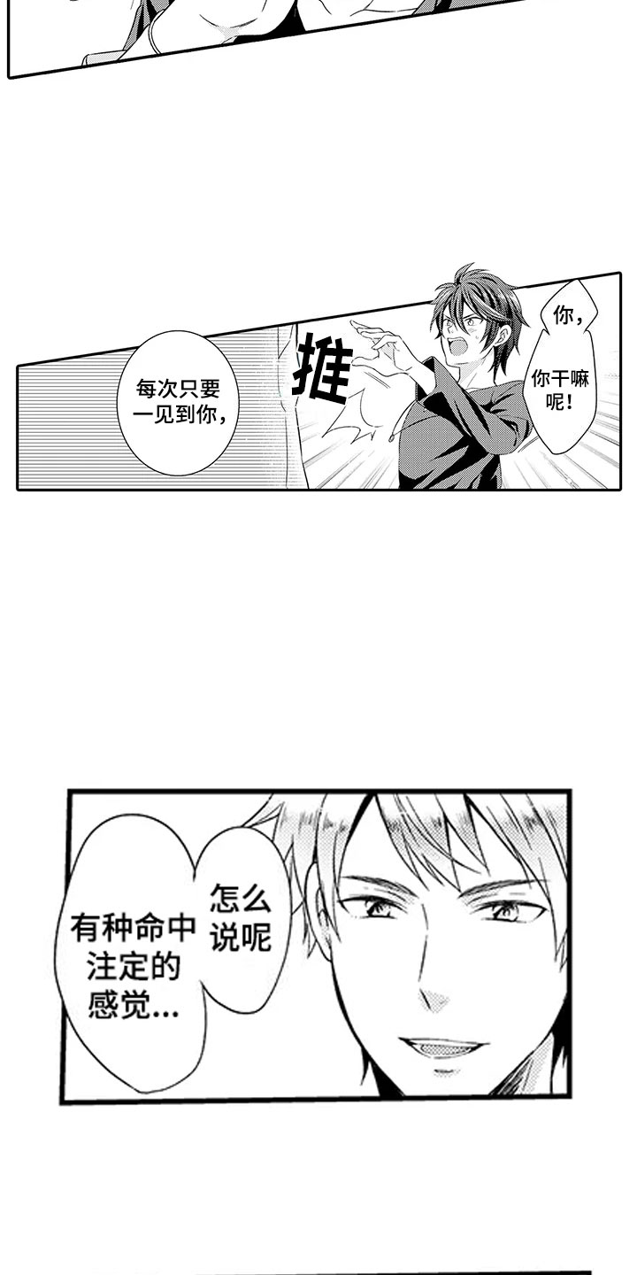 《秘密偶像》漫画最新章节第2章：命运伴侣免费下拉式在线观看章节第【5】张图片