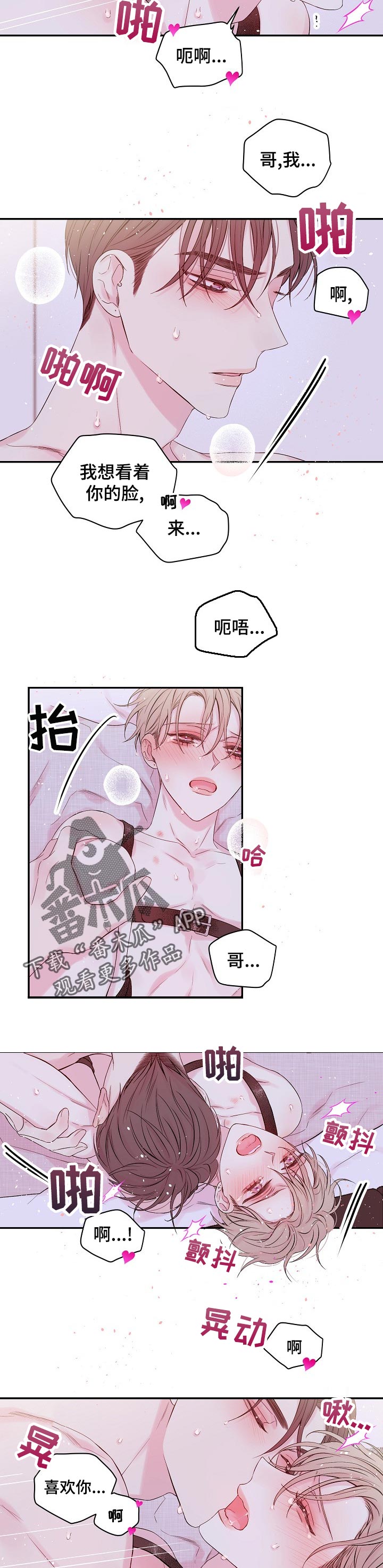 《Hold住娱乐圈》漫画最新章节第41章：我爱你！免费下拉式在线观看章节第【7】张图片