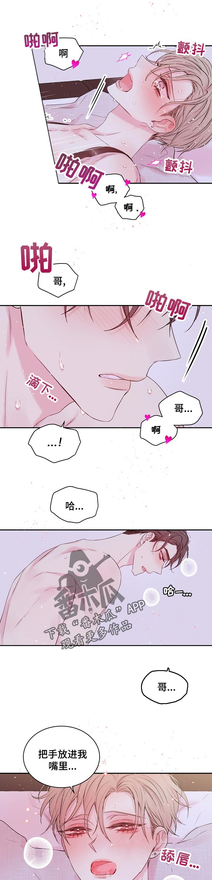 《Hold住娱乐圈》漫画最新章节第41章：我爱你！免费下拉式在线观看章节第【4】张图片