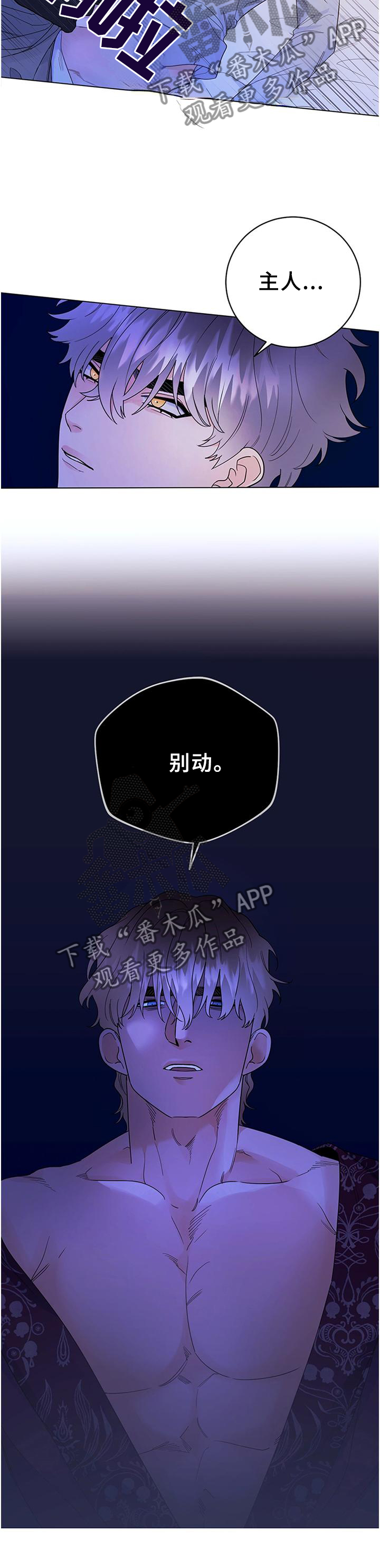 《主人的宠物》漫画最新章节第33章：归来免费下拉式在线观看章节第【9】张图片