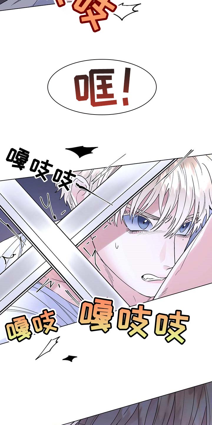 《主人的宠物》漫画最新章节第80章：【第二季】比试免费下拉式在线观看章节第【7】张图片