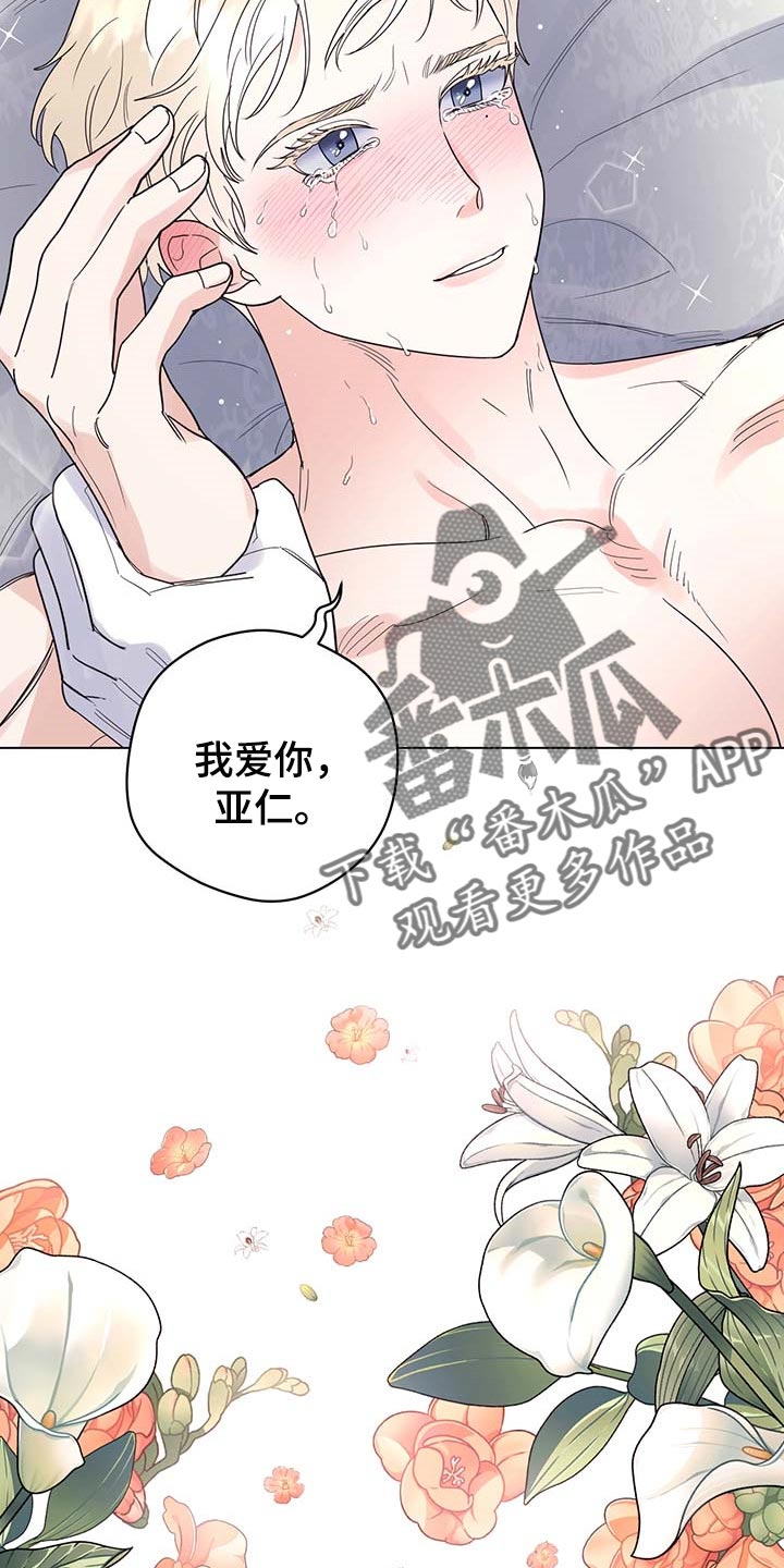 《主人的宠物》漫画最新章节第83章：【第二季】被珍视的免费下拉式在线观看章节第【3】张图片