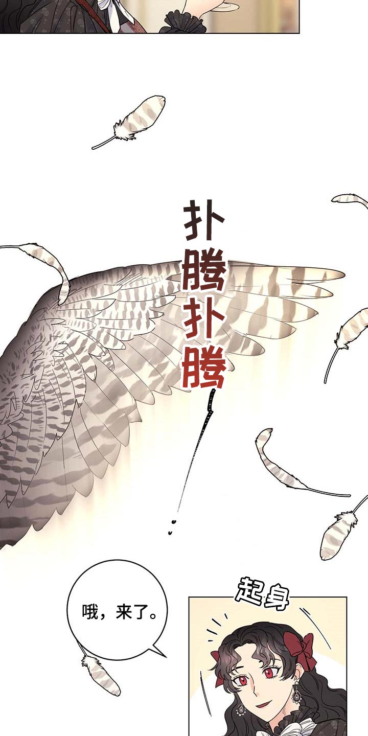 《主人的宠物》漫画最新章节第93章：【第二季】我不是它的主人免费下拉式在线观看章节第【9】张图片