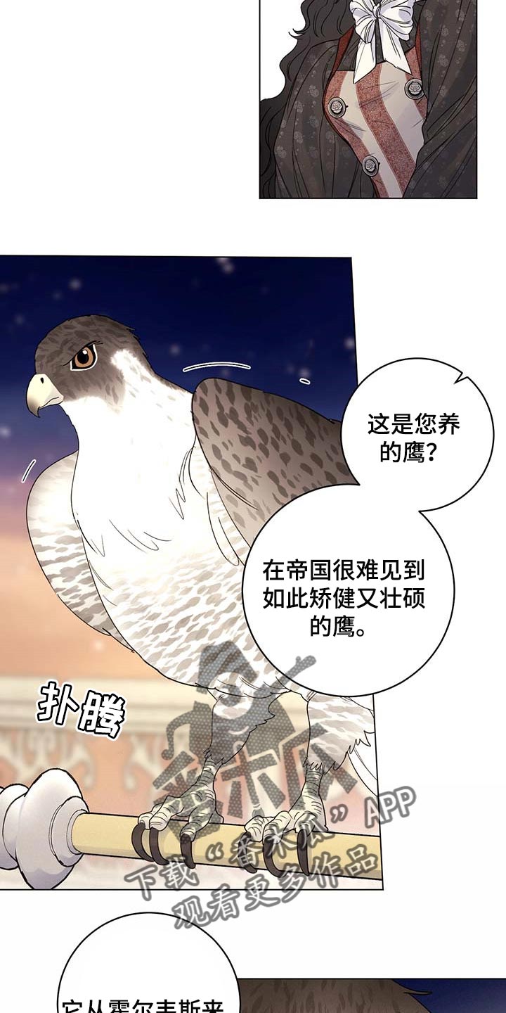 《主人的宠物》漫画最新章节第93章：【第二季】我不是它的主人免费下拉式在线观看章节第【8】张图片