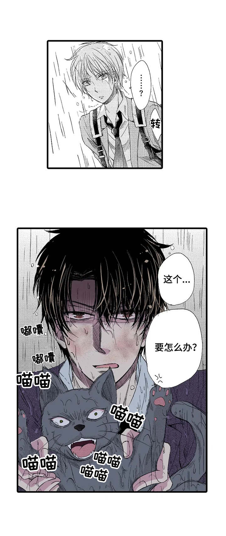 《群租房密友》漫画最新章节第1章：雨中来客免费下拉式在线观看章节第【3】张图片