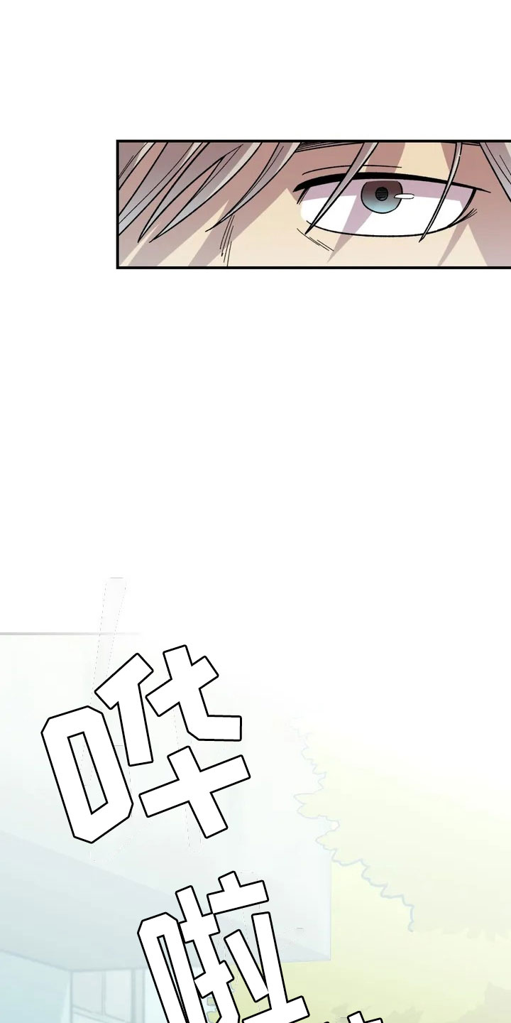 《雨后少女》漫画最新章节第1章：起初免费下拉式在线观看章节第【3】张图片