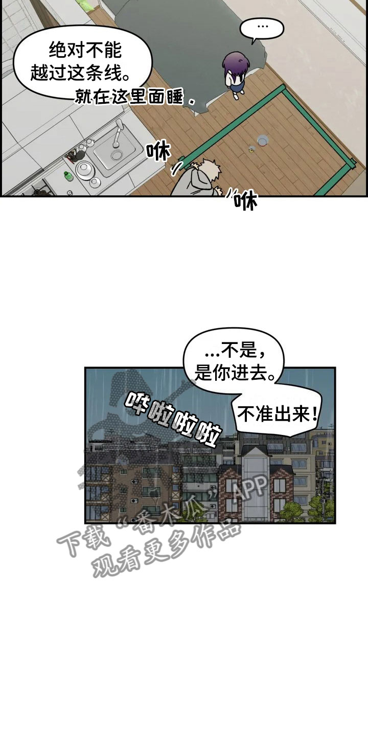 《雨后少女》漫画最新章节第4章：收留免费下拉式在线观看章节第【17】张图片