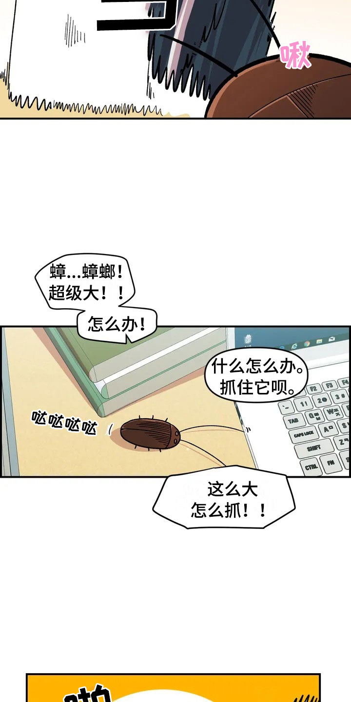 《雨后少女》漫画最新章节第17章：自由的生命体免费下拉式在线观看章节第【15】张图片