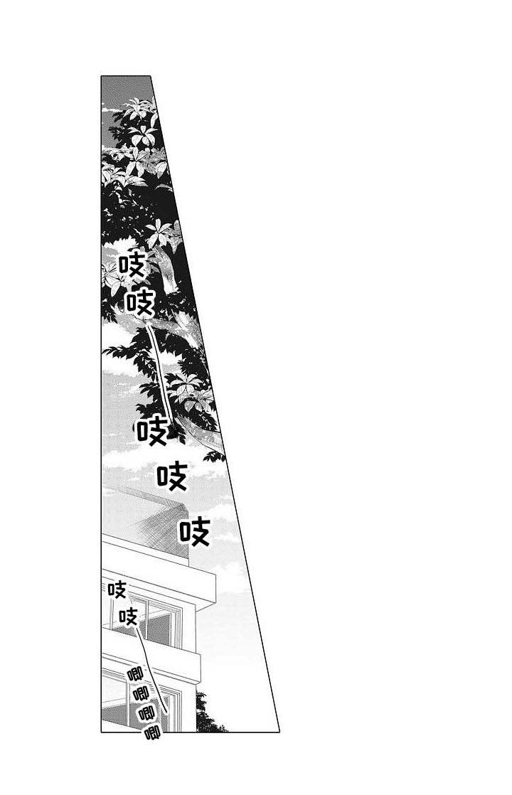 《寂寞味道》漫画最新章节第14章：摄影家免费下拉式在线观看章节第【1】张图片