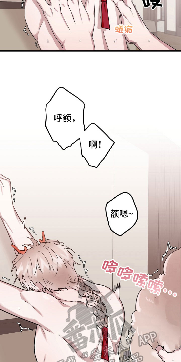 《命定姻缘》漫画最新章节第5章：请求免费下拉式在线观看章节第【15】张图片