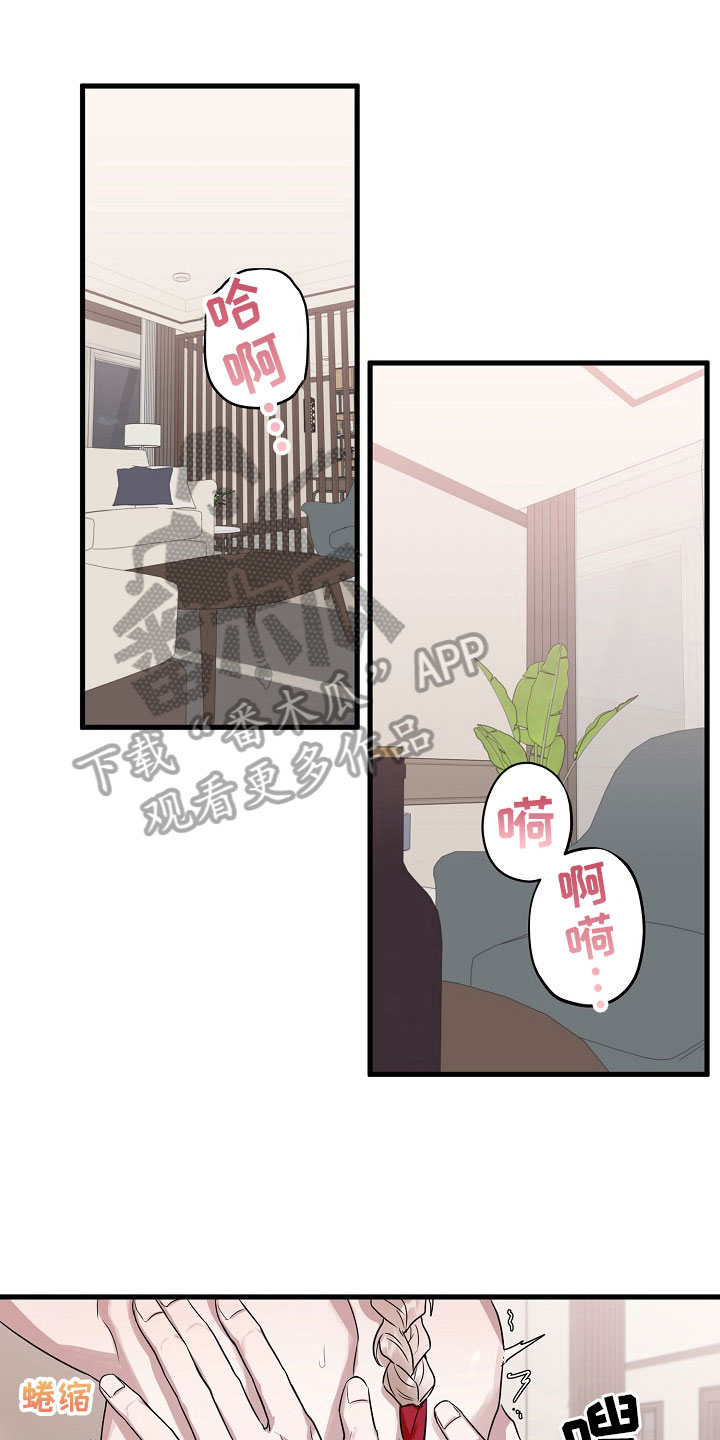 《命定姻缘》漫画最新章节第5章：请求免费下拉式在线观看章节第【16】张图片