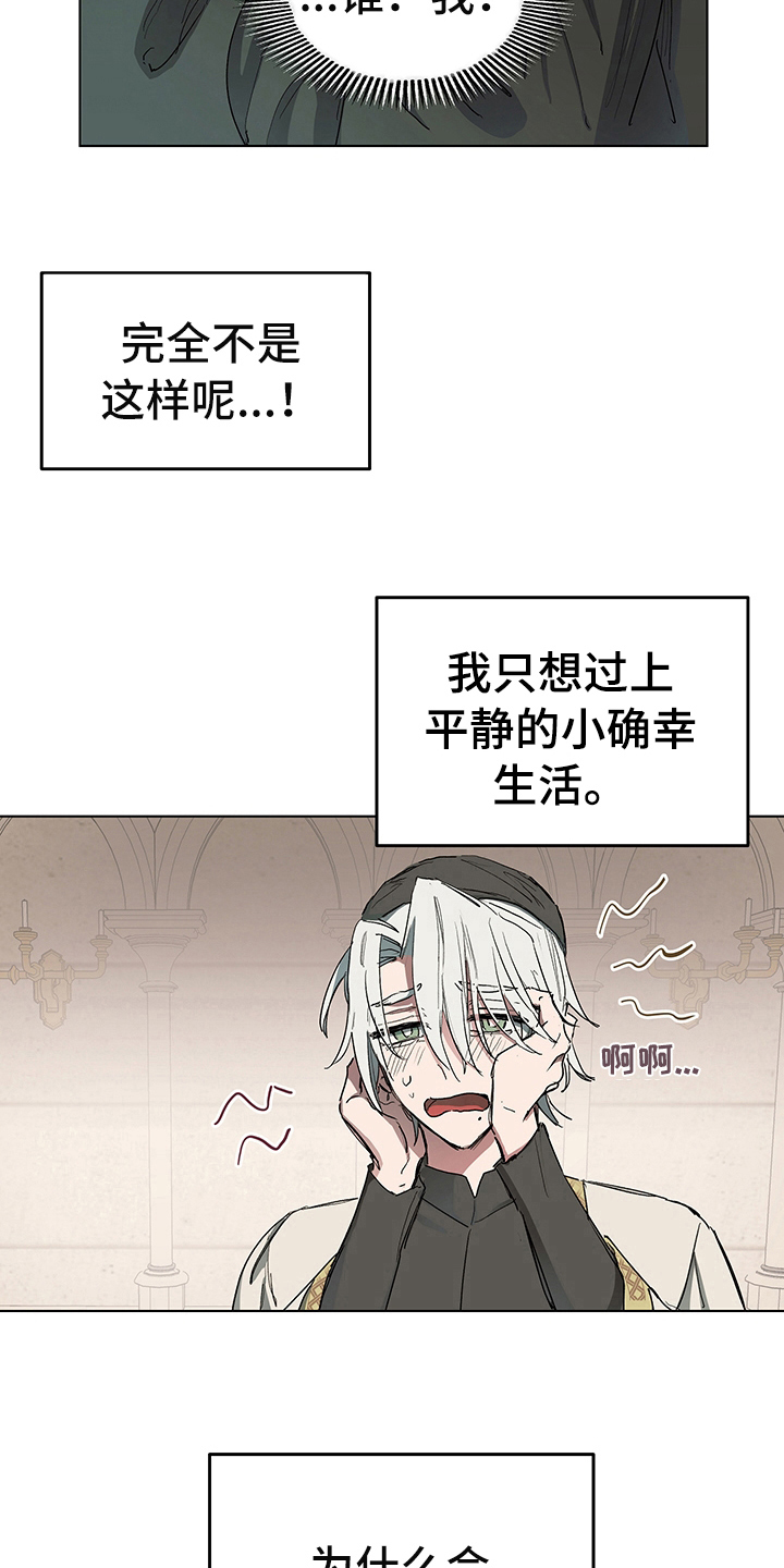 《傲慢的教皇》漫画最新章节第4章：安排免费下拉式在线观看章节第【13】张图片