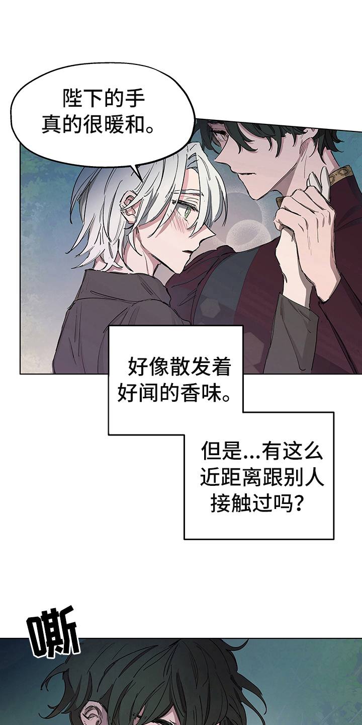 《傲慢的教皇》漫画最新章节第5章：信号免费下拉式在线观看章节第【4】张图片