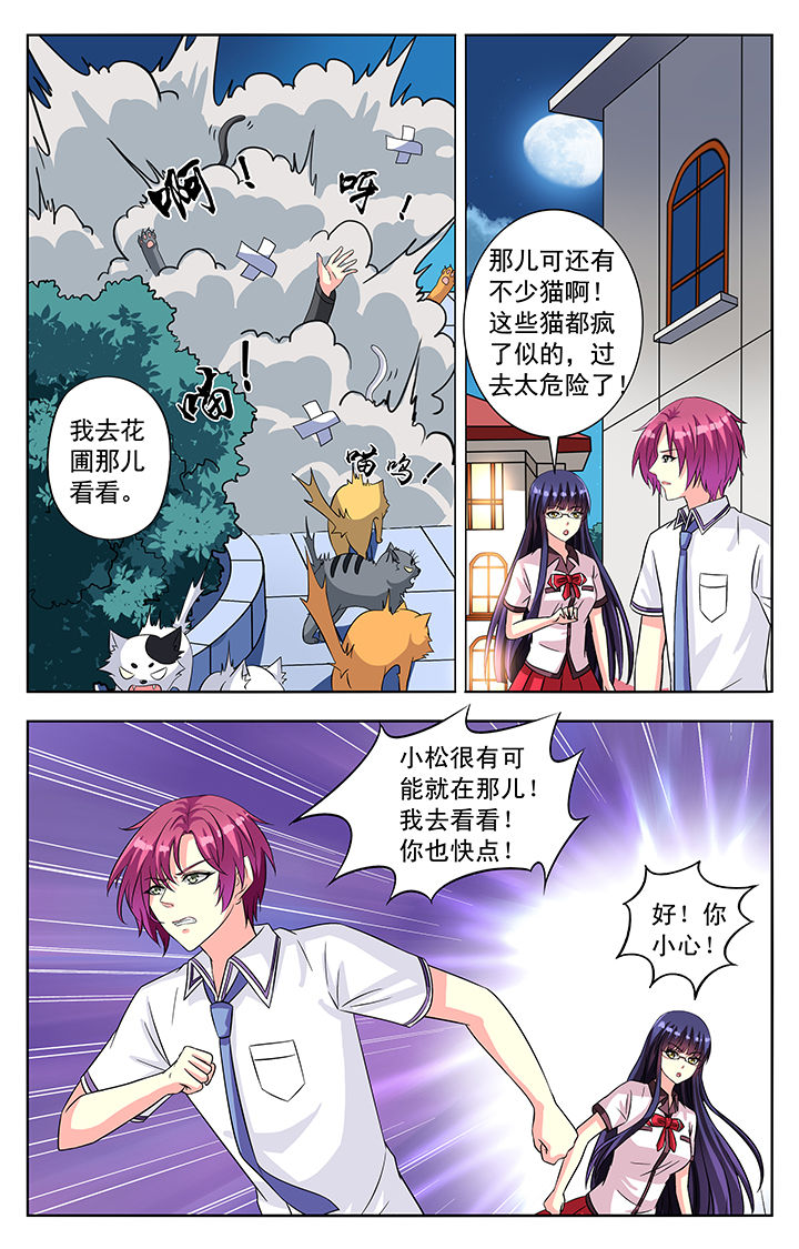 《我的男神》漫画最新章节第54章：免费下拉式在线观看章节第【4】张图片