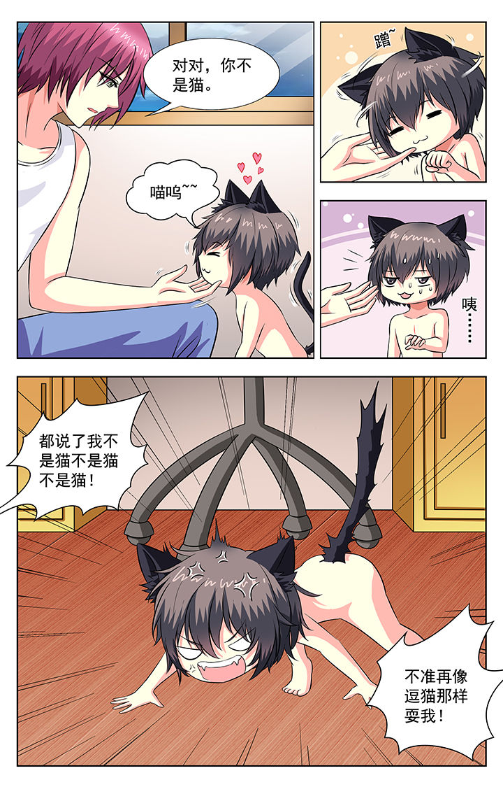 《我的男神》漫画最新章节第58章：免费下拉式在线观看章节第【4】张图片