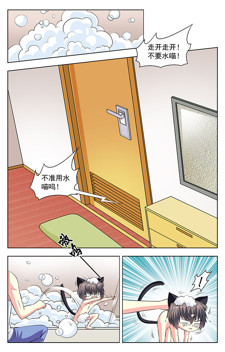 《我的男神》漫画最新章节第59章：免费下拉式在线观看章节第【8】张图片