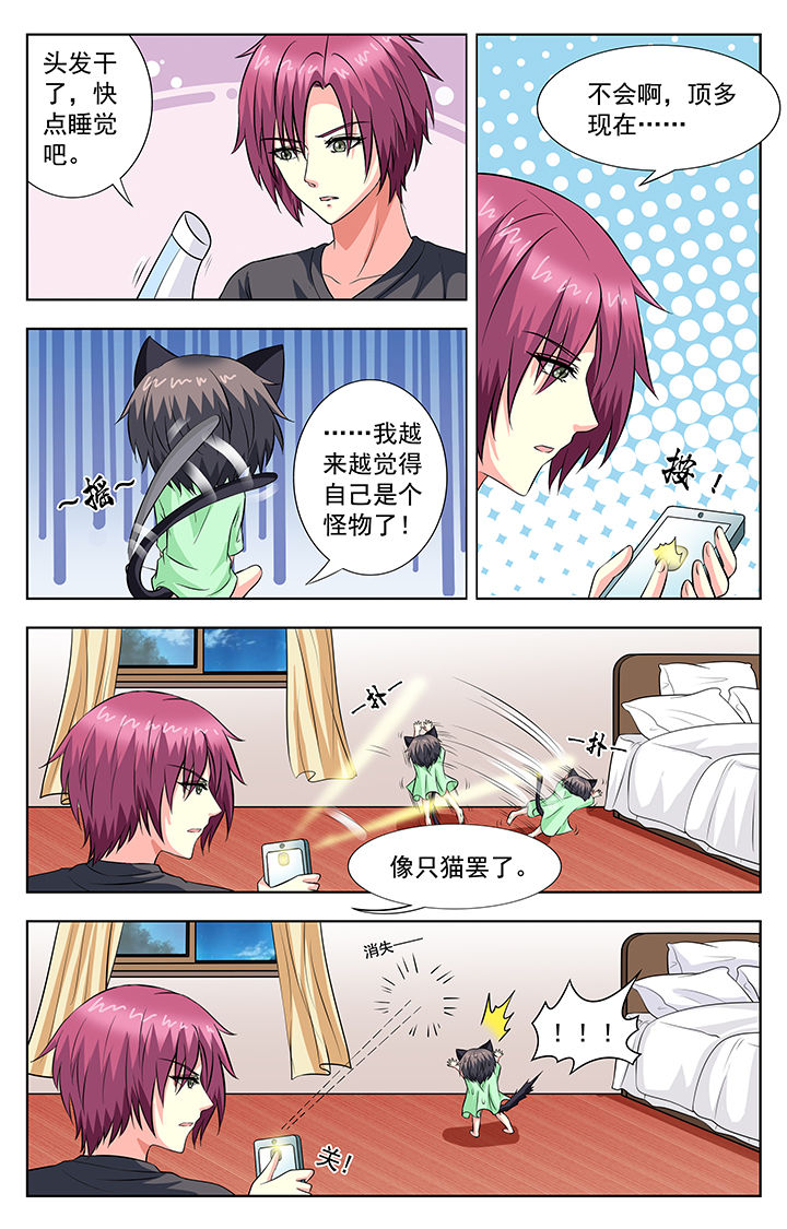 《我的男神》漫画最新章节第59章：免费下拉式在线观看章节第【6】张图片