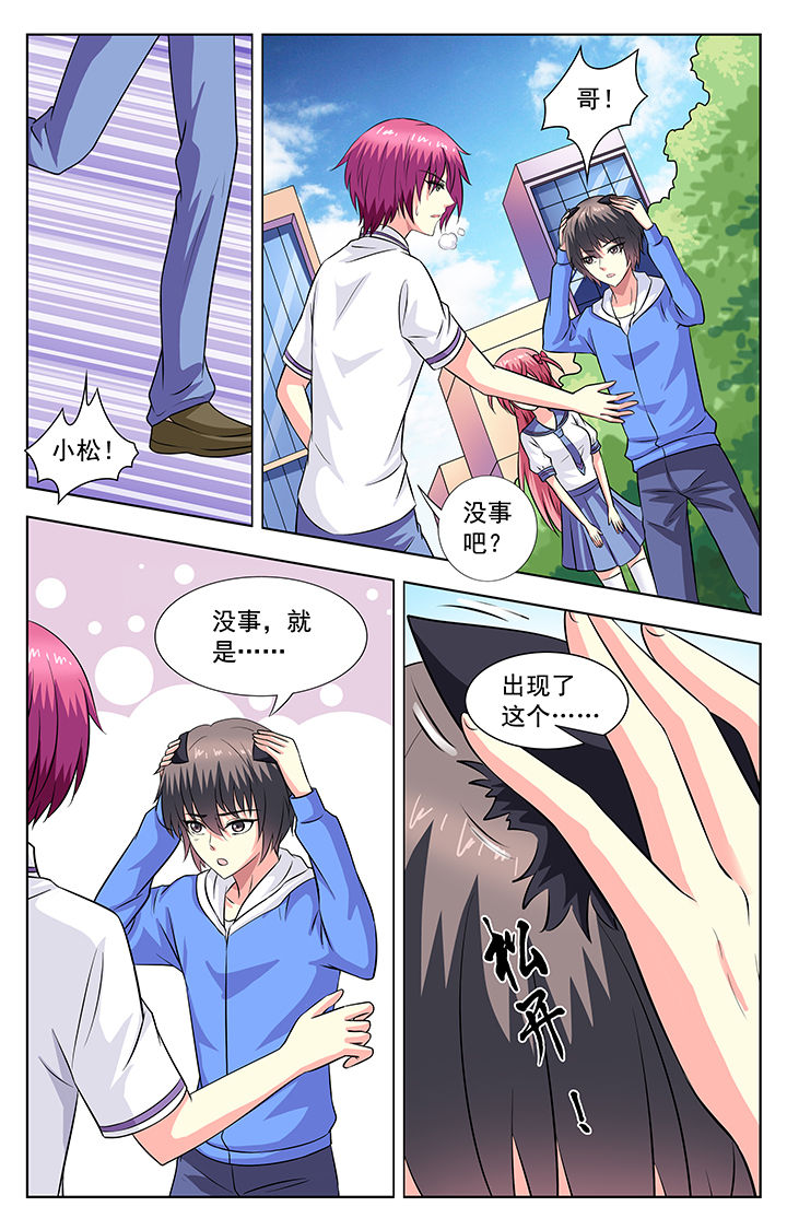 《我的男神》漫画最新章节第65章：免费下拉式在线观看章节第【3】张图片