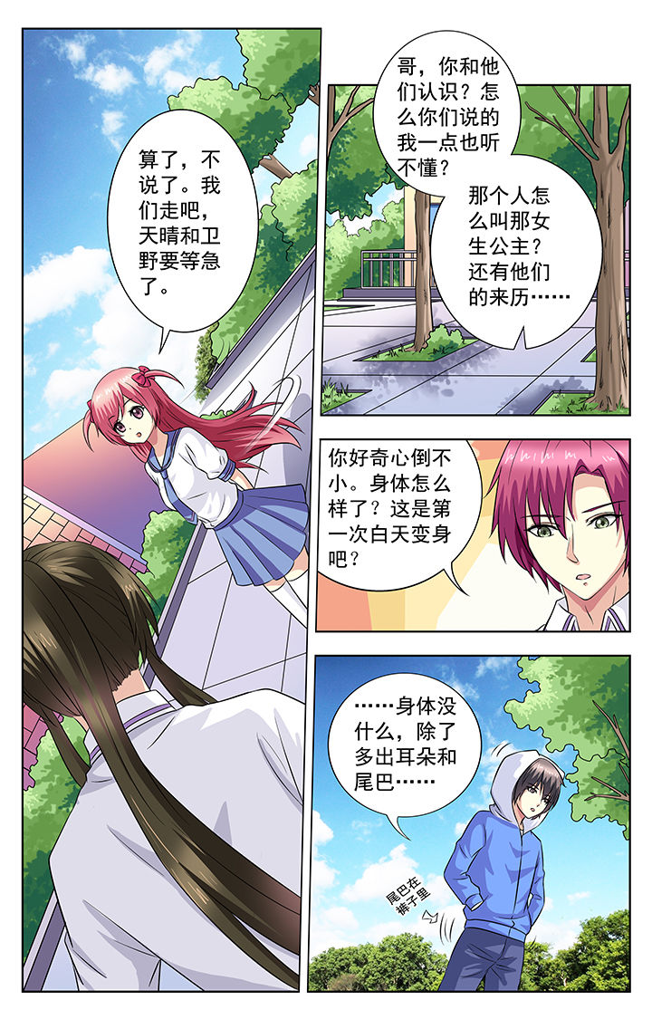 《我的男神》漫画最新章节第66章：免费下拉式在线观看章节第【7】张图片