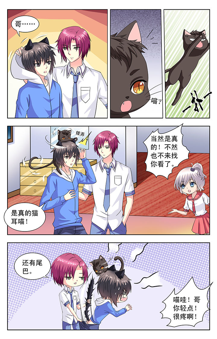 《我的男神》漫画最新章节第67章：免费下拉式在线观看章节第【3】张图片