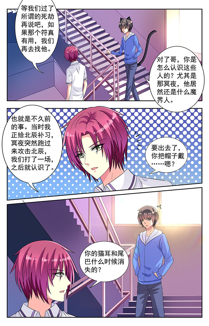 《我的男神》漫画最新章节第70章：免费下拉式在线观看章节第【1】张图片