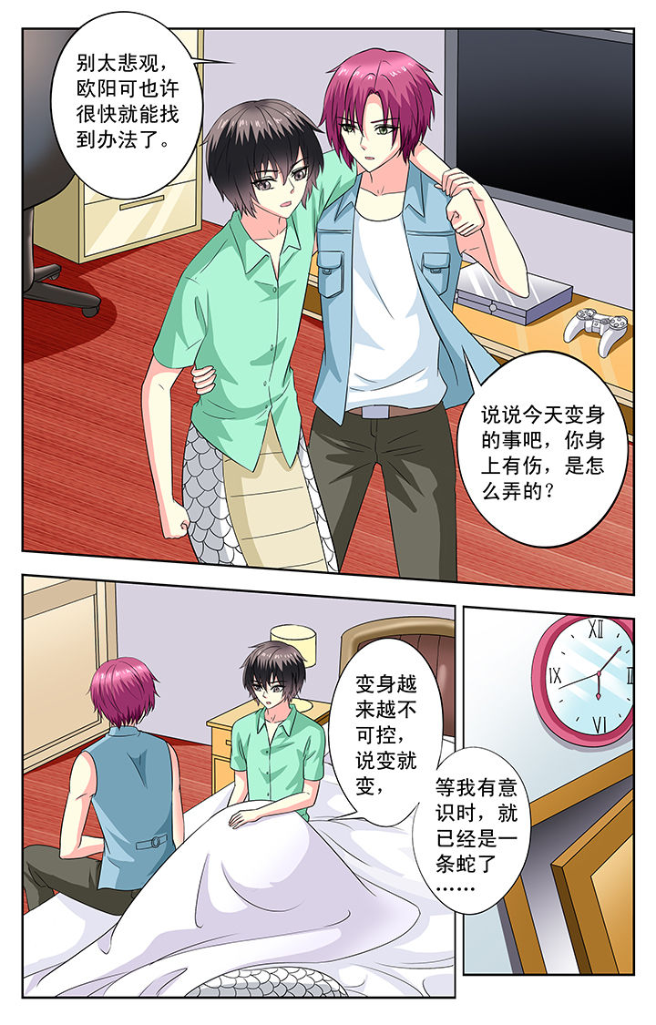 《我的男神》漫画最新章节第82章：免费下拉式在线观看章节第【2】张图片