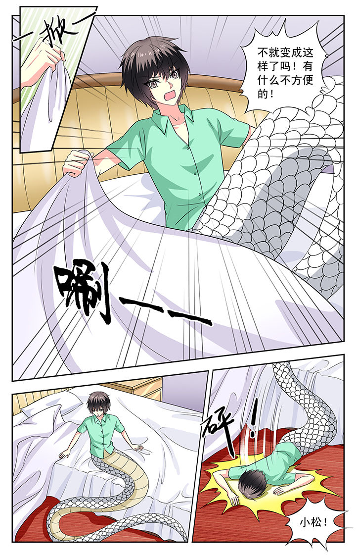 《我的男神》漫画最新章节第82章：免费下拉式在线观看章节第【4】张图片