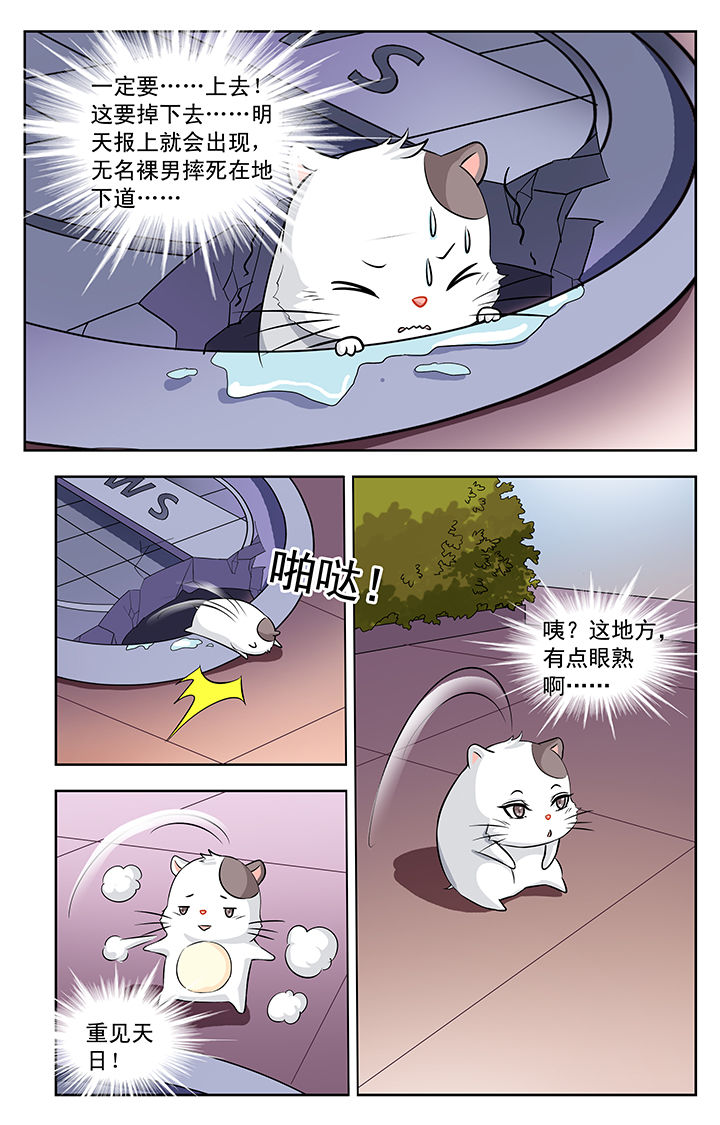 《我的男神》漫画最新章节第113章：免费下拉式在线观看章节第【2】张图片