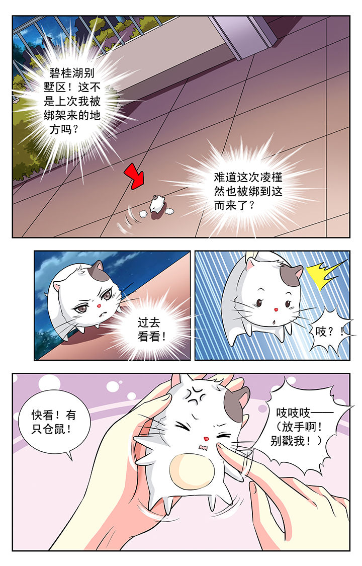 《我的男神》漫画最新章节第113章：免费下拉式在线观看章节第【1】张图片