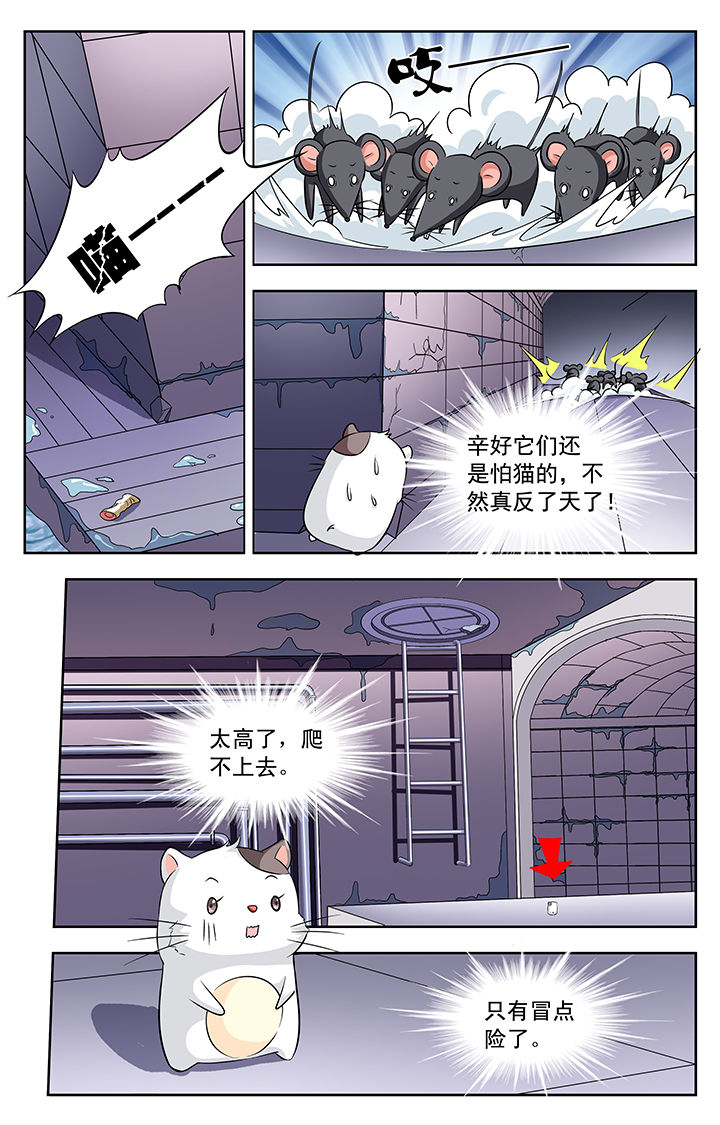 《我的男神》漫画最新章节第113章：免费下拉式在线观看章节第【4】张图片