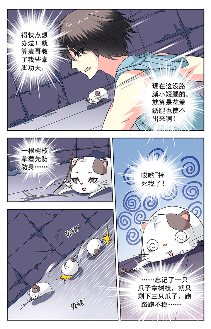 《我的男神》漫画最新章节第113章：免费下拉式在线观看章节第【7】张图片