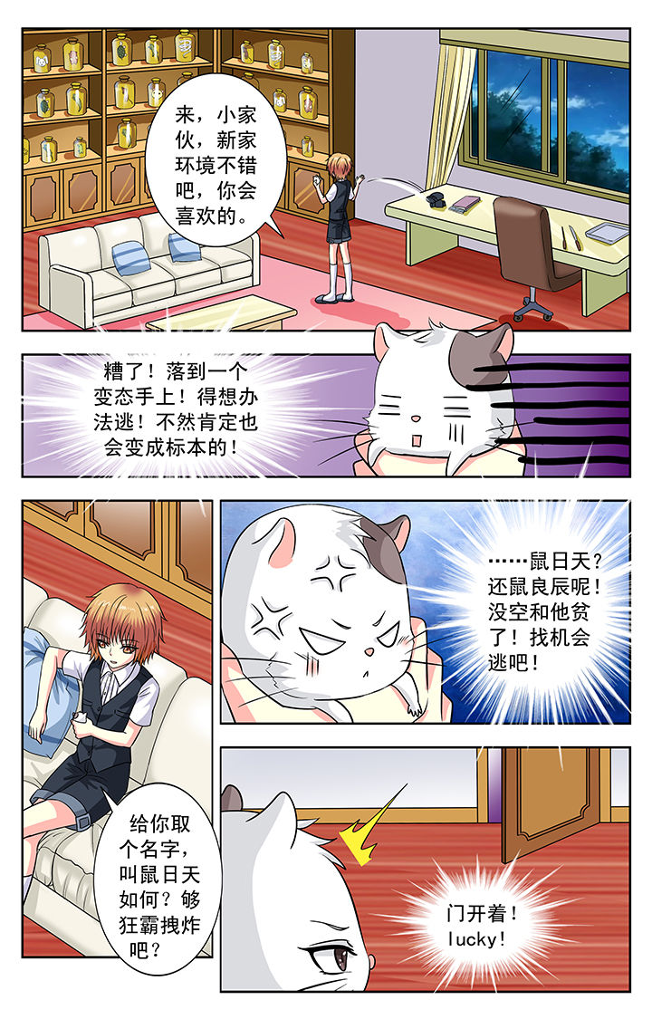 《我的男神》漫画最新章节第114章：免费下拉式在线观看章节第【7】张图片