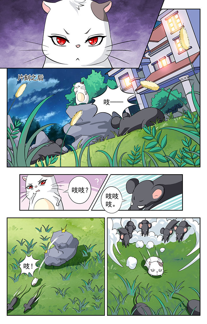 《我的男神》漫画最新章节第115章：免费下拉式在线观看章节第【1】张图片