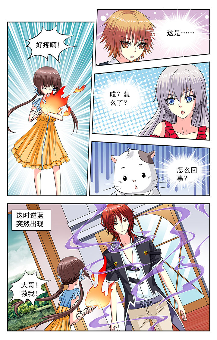 《我的男神》漫画最新章节第118章：免费下拉式在线观看章节第【4】张图片