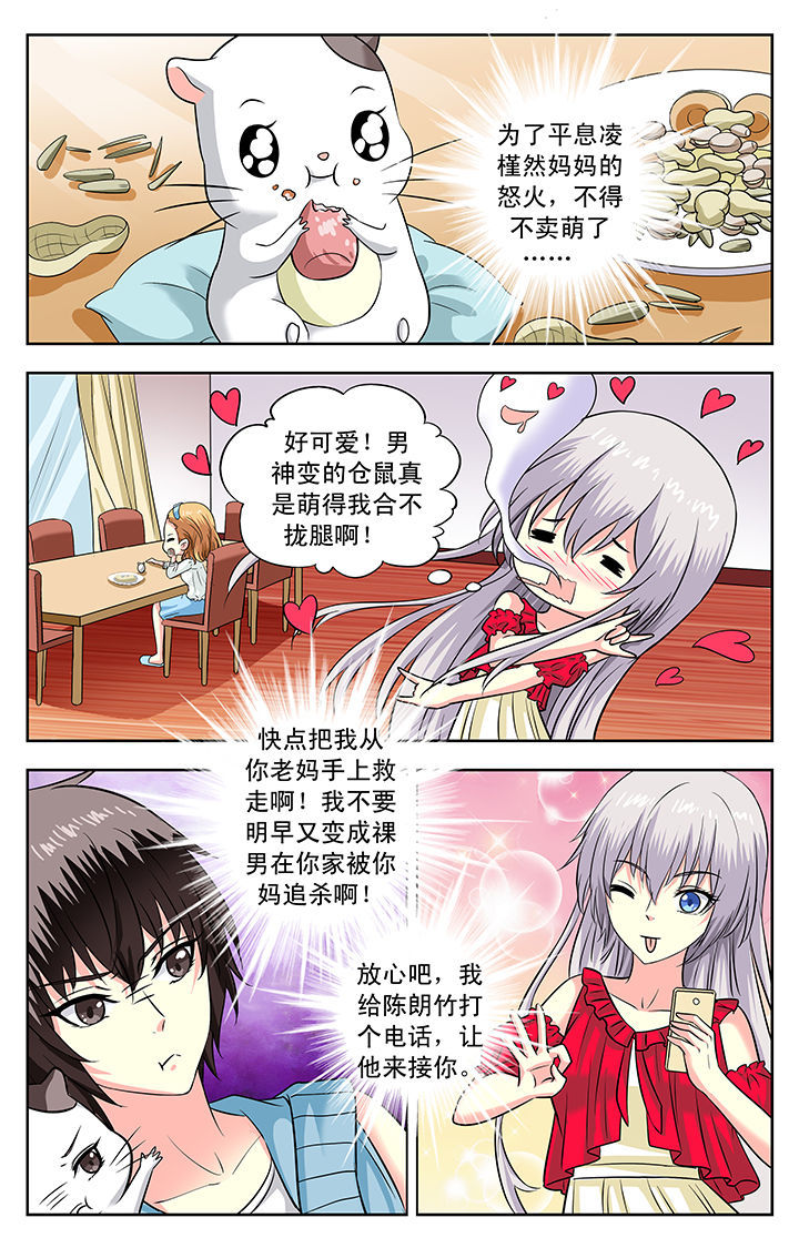 《我的男神》漫画最新章节第121章：免费下拉式在线观看章节第【2】张图片