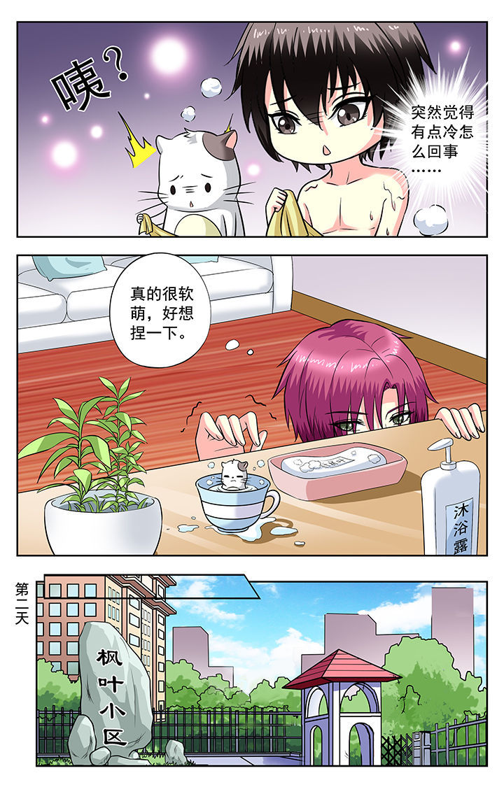 《我的男神》漫画最新章节第122章：免费下拉式在线观看章节第【3】张图片