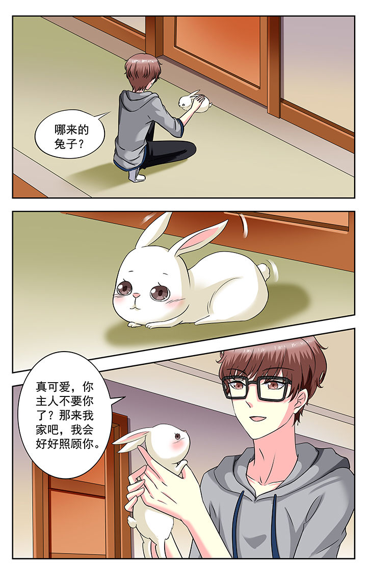 《我的男神》漫画最新章节第176章：免费下拉式在线观看章节第【2】张图片