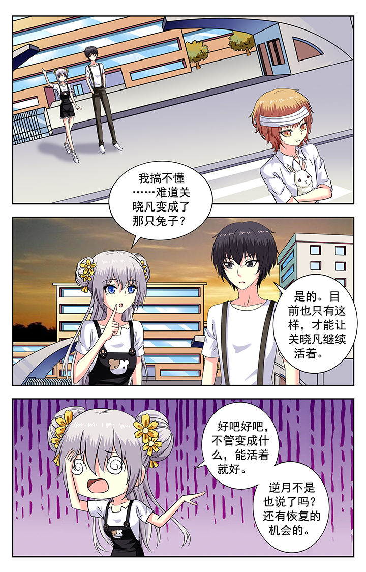 《我的男神》漫画最新章节第176章：免费下拉式在线观看章节第【5】张图片