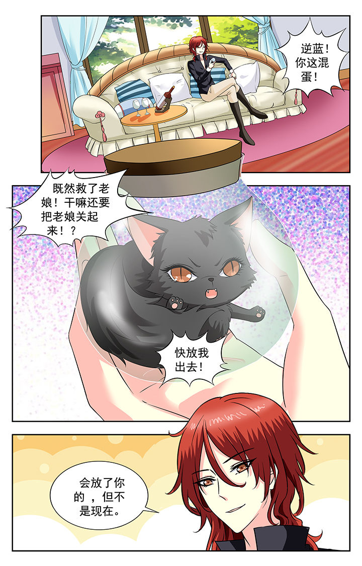 《我的男神》漫画最新章节第194章：免费下拉式在线观看章节第【1】张图片