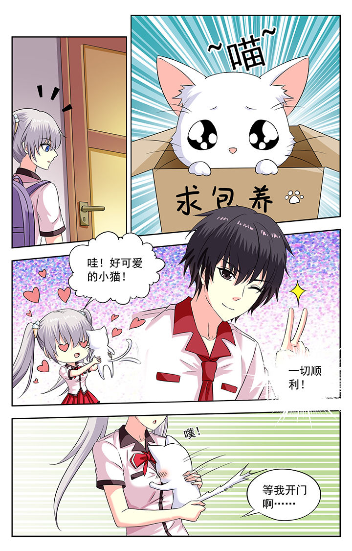 《我的男神》漫画最新章节第201章：免费下拉式在线观看章节第【7】张图片