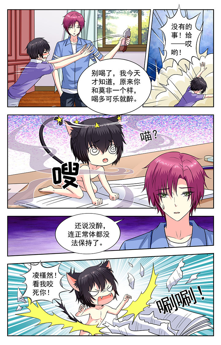 《我的男神》漫画最新章节第205章：免费下拉式在线观看章节第【6】张图片