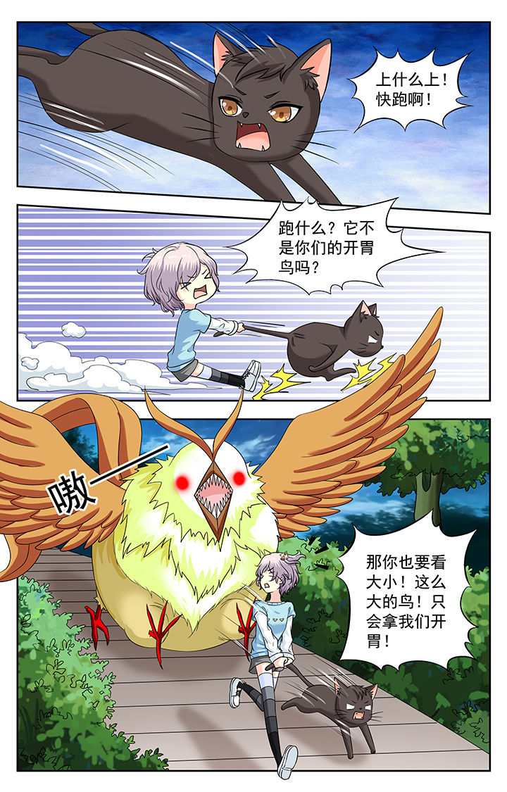 《我的男神》漫画最新章节第223章：免费下拉式在线观看章节第【3】张图片