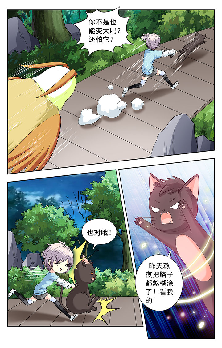 《我的男神》漫画最新章节第223章：免费下拉式在线观看章节第【2】张图片