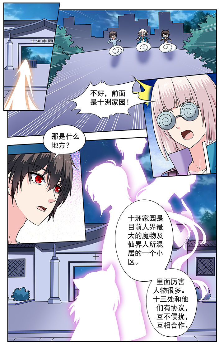 《我的男神》漫画最新章节第231章：免费下拉式在线观看章节第【6】张图片