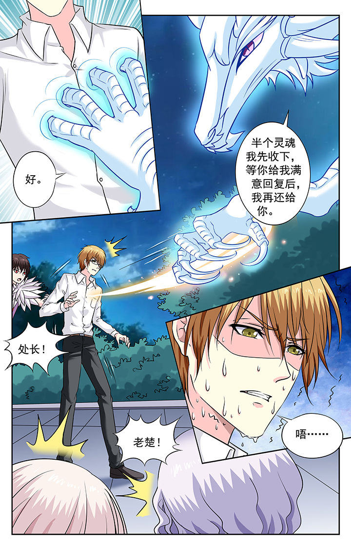 《我的男神》漫画最新章节第233章：免费下拉式在线观看章节第【5】张图片