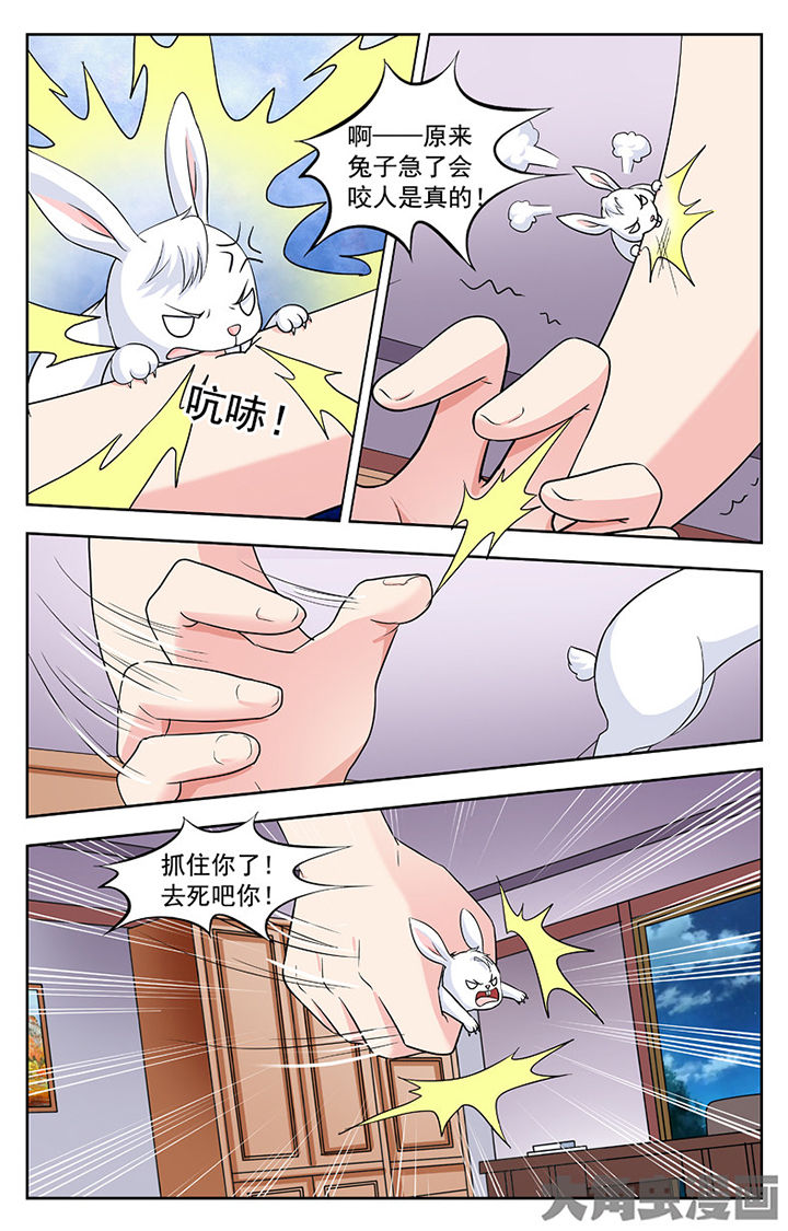 《我的男神》漫画最新章节第250章：免费下拉式在线观看章节第【1】张图片