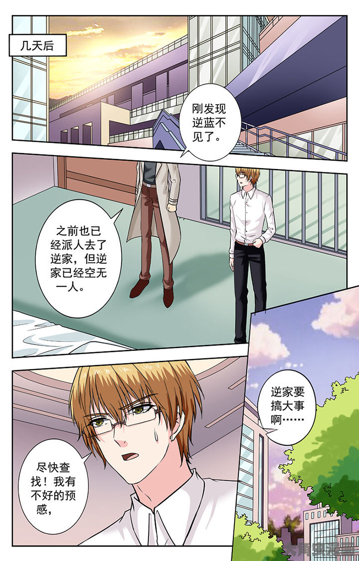 《我的男神》漫画最新章节第263章：免费下拉式在线观看章节第【1】张图片