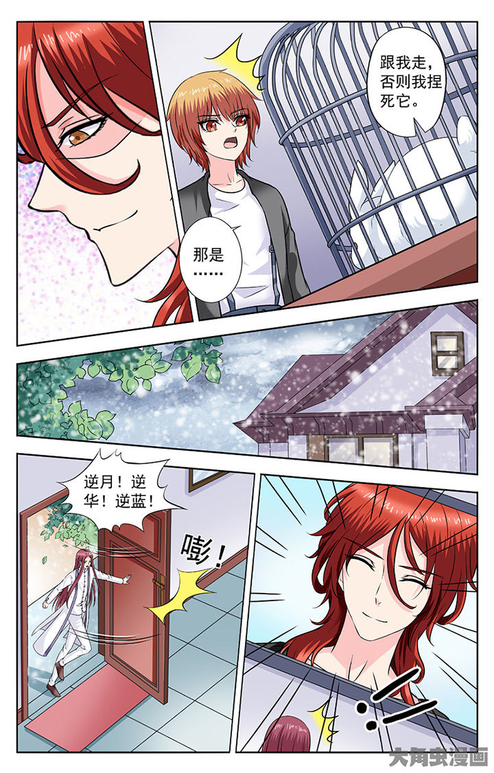 《我的男神》漫画最新章节第282章：免费下拉式在线观看章节第【1】张图片