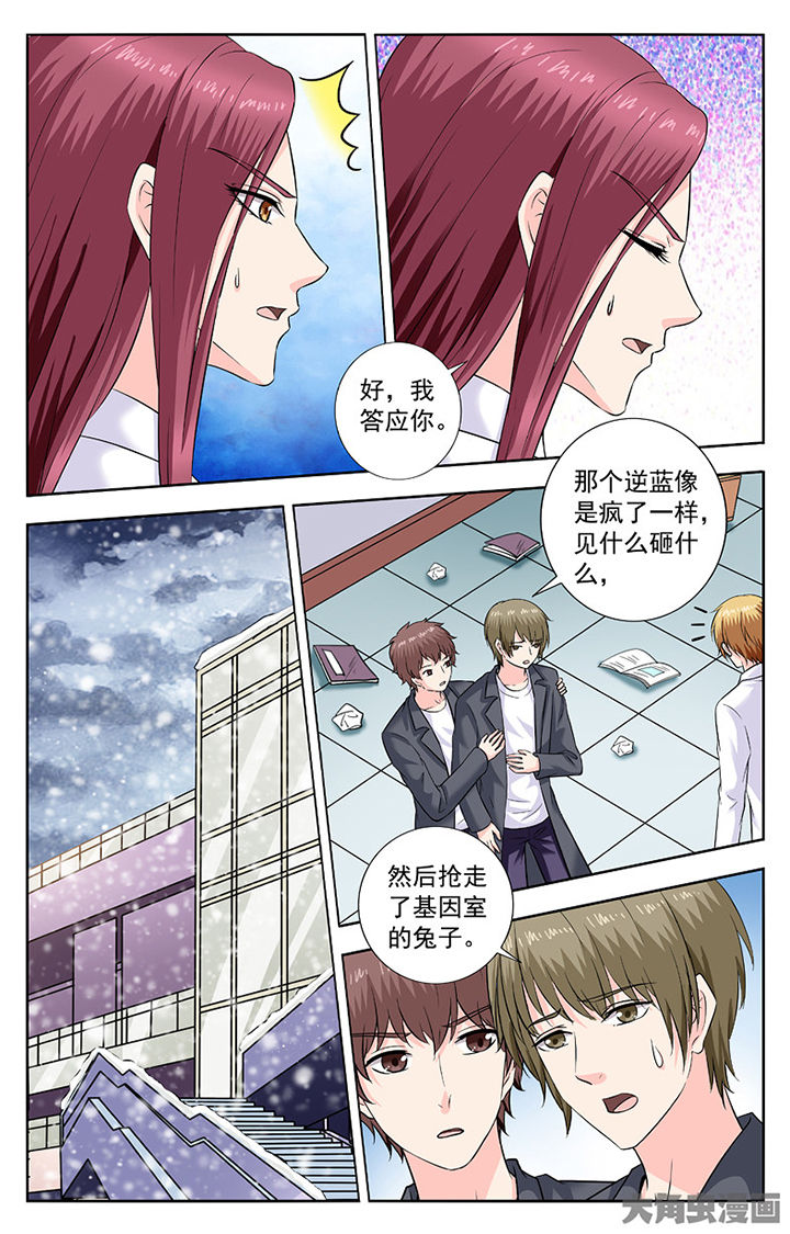 《我的男神》漫画最新章节第283章：免费下拉式在线观看章节第【6】张图片